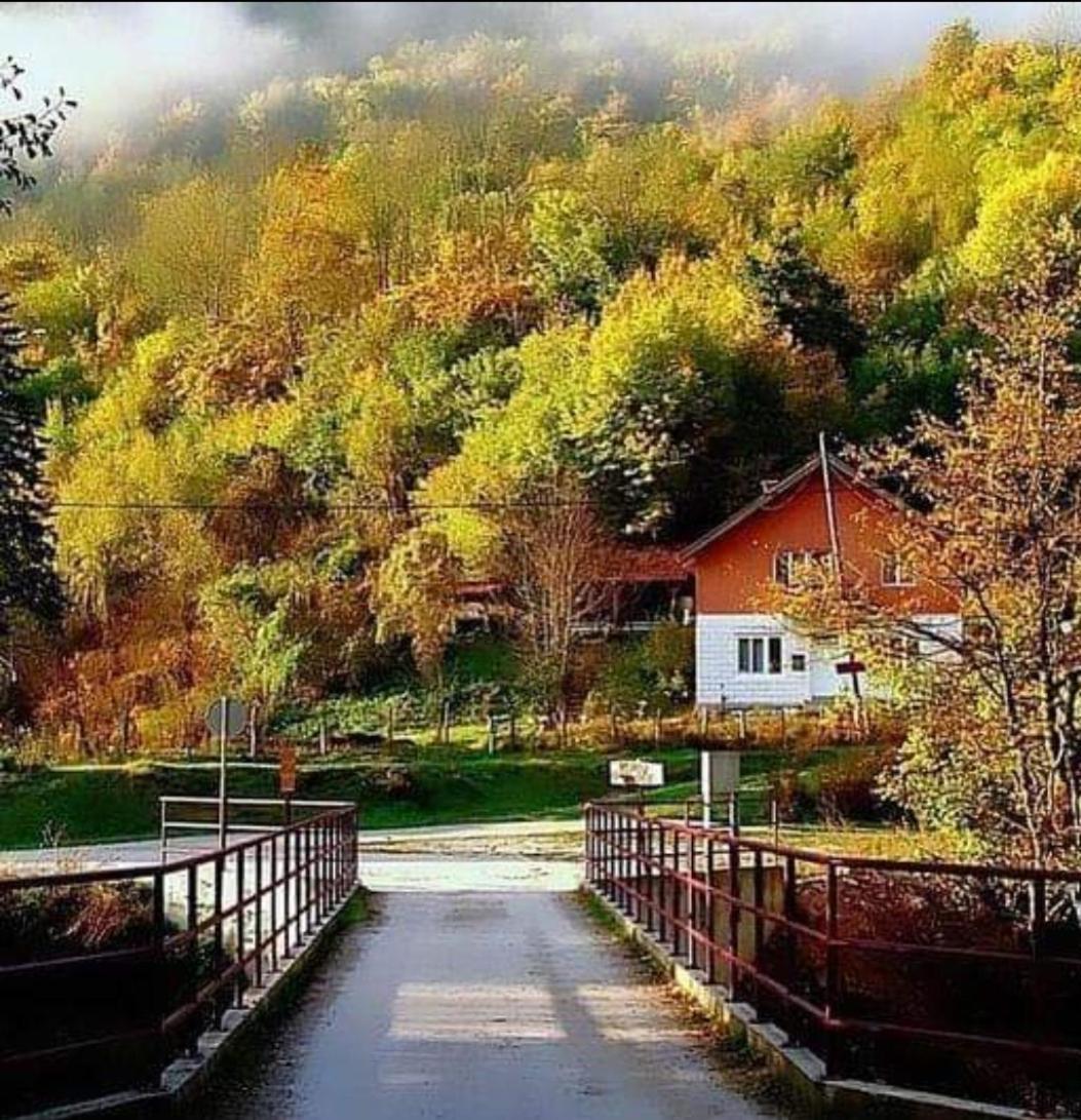 Turisticki Kompleks - Montana Tjentiste Buitenkant foto