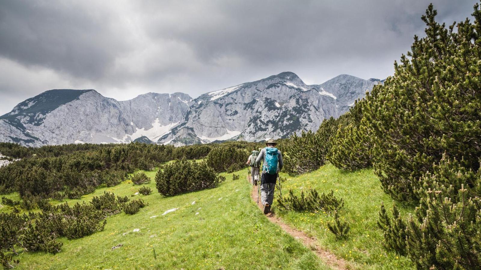 Turisticki Kompleks - Montana Tjentiste Buitenkant foto